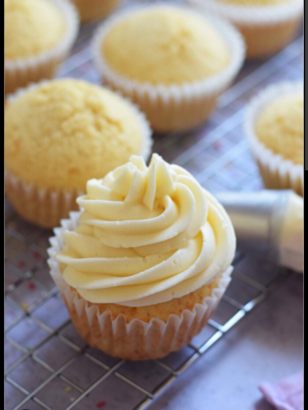 Fresh Artisan Cupcakes